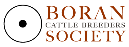 The Boran Cattle Breeder’s Society – Kenya